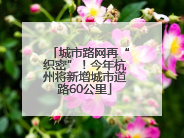 城市路网再“织密”！今年杭州将新增城市道路60公里
