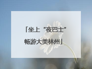 坐上“夜巴士” 畅游大美林州