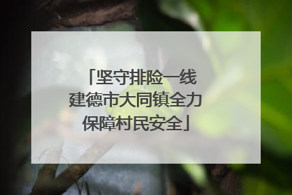 坚守排险一线 建德市大同镇全力保障村民安全