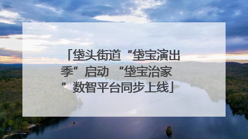 垡头街道“垡宝演出季”启动 “垡宝治家”数智平台同步上线