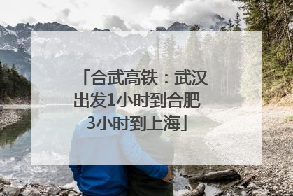 合武高铁：武汉出发1小时到合肥3小时到上海
