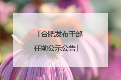 合肥发布干部任前公示公告