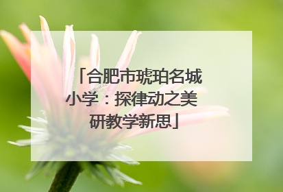 合肥市琥珀名城小学：探律动之美 研教学新思