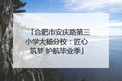 合肥市安庆路第三小学大杨分校：匠心筑梦 护航毕业季