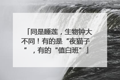 同是睡莲，生物钟大不同！有的是“夜猫子”，有的“值白班”