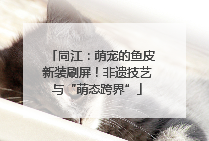 同江：萌宠的鱼皮新装刷屏！非遗技艺与“萌态跨界”