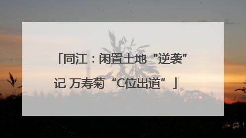 同江：闲置土地“逆袭”记 万寿菊“C位出道”