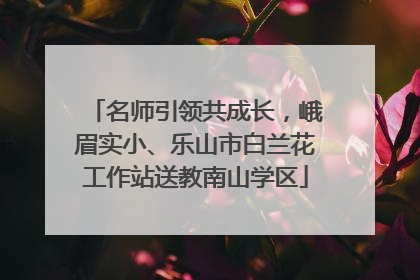 名师引领共成长，峨眉实小、乐山市白兰花工作站送教南山学区