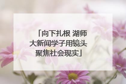 向下扎根 湖师大新闻学子用镜头聚焦社会现实