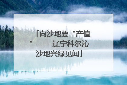 向沙地要“产值”——辽宁科尔沁沙地兴绿见闻