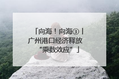 向海！向海③丨广州港口经济释放“乘数效应”