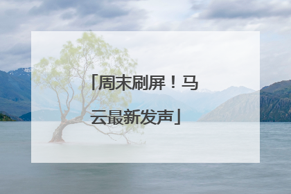 周末刷屏！马云最新发声
