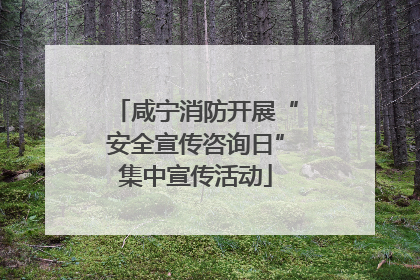 咸宁消防开展“安全宣传咨询日”集中宣传活动