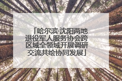哈尔滨·沈阳两地退役军人服务协会跨区域全领域开展调研交流共绘协同发展