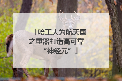 哈工大为航天国之重器打造高可靠“神经元”