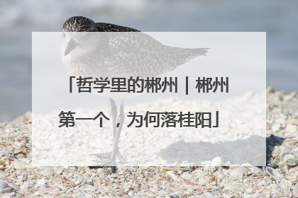 哲学里的郴州｜郴州第一个，为何落桂阳