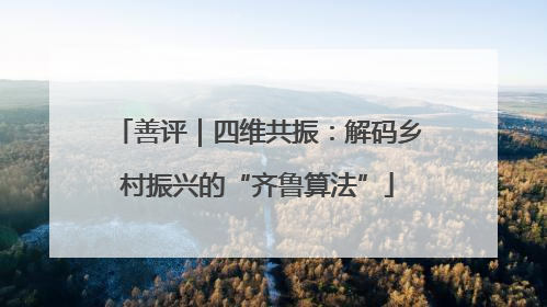 善评｜四维共振：解码乡村振兴的“齐鲁算法”