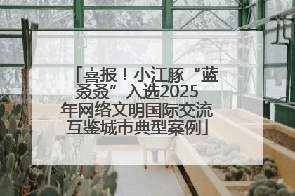 喜报！小江豚“蓝叒叒”入选2025年网络文明国际交流互鉴城市典型案例