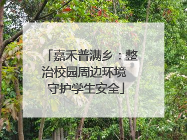 嘉禾普满乡：整治校园周边环境 守护学生安全