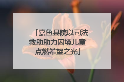 嘉鱼县院以司法救助助力困境儿童点燃希望之光
