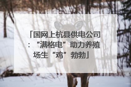 国网上杭县供电公司：“满格电”助力养殖场生“鸡”勃勃