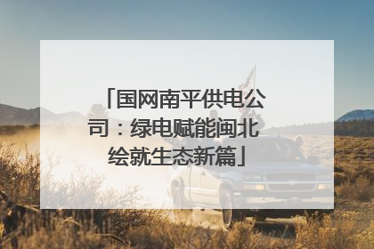 国网南平供电公司：绿电赋能闽北 绘就生态新篇