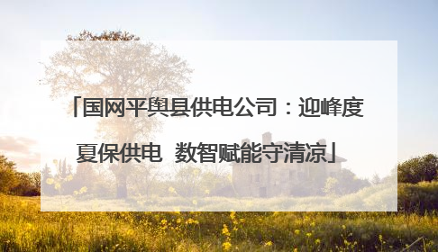 国网平舆县供电公司：迎峰度夏保供电  数智赋能守清凉