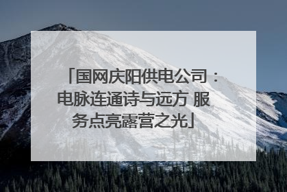 国网庆阳供电公司：电脉连通诗与远方 服务点亮露营之光
