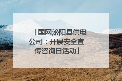 国网泌阳县供电公司：开展安全宣传咨询日活动