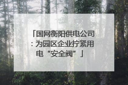 国网衡阳供电公司：为园区企业拧紧用电“安全阀”
