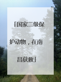 国家二级保护动物，在南昌获救
