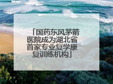 国药东风茅箭医院成为湖北省首家专业复学康复训练机构