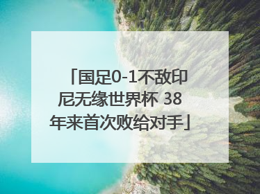 国足0-1不敌印尼无缘世界杯 38年来首次败给对手