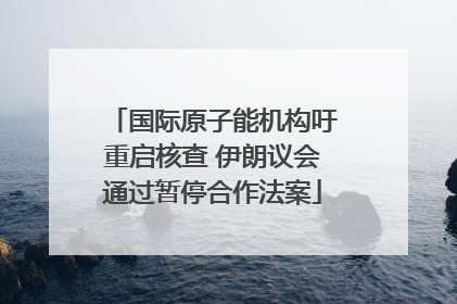 国际原子能机构吁重启核查 伊朗议会通过暂停合作法案