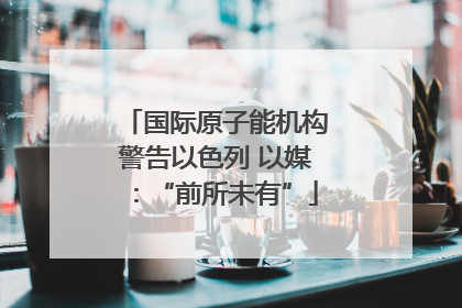 国际原子能机构警告以色列 以媒：“前所未有”
