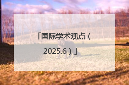 国际学术观点（2025.6）