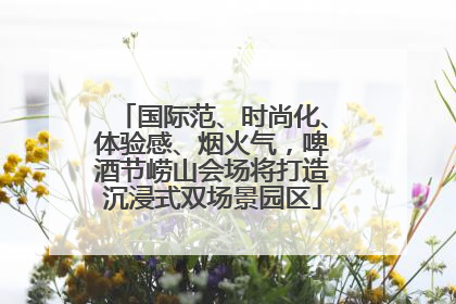 国际范、时尚化、体验感、烟火气，啤酒节崂山会场将打造沉浸式双场景园区
