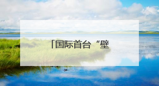 国际首台“壁虎机器人”上岗守护核安全