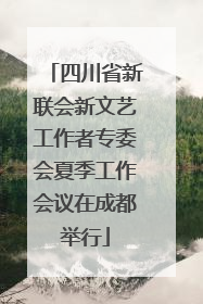 四川省新联会新文艺工作者专委会夏季工作会议在成都举行
