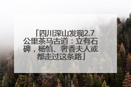 四川深山发现2.7公里茶马古道：立有石碑，杨慎、奢香夫人或都走过这条路