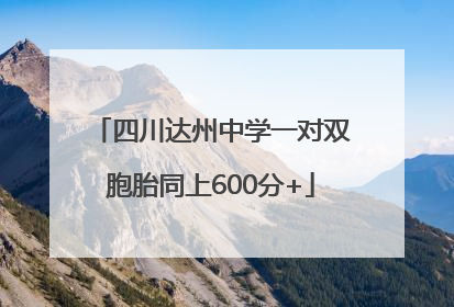 四川达州中学一对双胞胎同上600分+