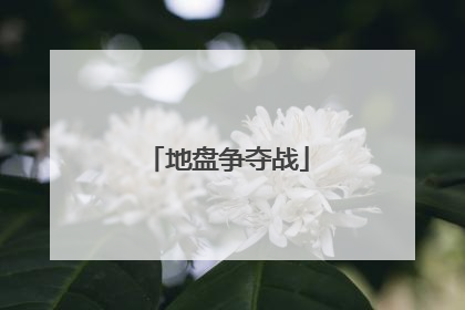 地盘争夺战