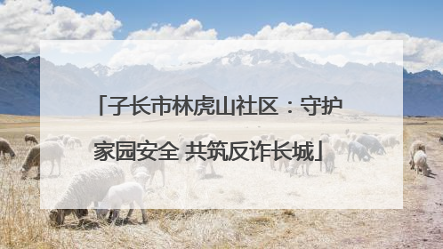 子长市林虎山社区：守护家园安全 共筑反诈长城
