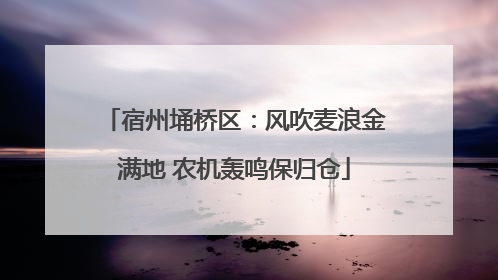 宿州埇桥区：风吹麦浪金满地 农机轰鸣保归仓