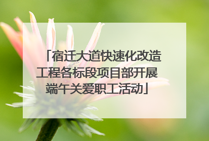 宿迁大道快速化改造工程各标段项目部开展端午关爱职工活动