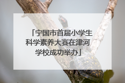 宁国市首届小学生科学素养大赛在津河学校成功举办
