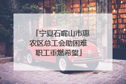宁夏石嘴山市惠农区总工会助困难职工重燃希望