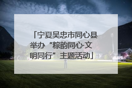 宁夏吴忠市同心县举办“粽韵同心·文明同行”主题活动