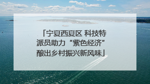 宁夏西夏区 科技特派员助力“紫色经济”酿出乡村振兴新风味