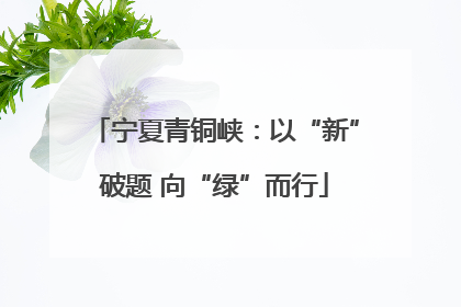 宁夏青铜峡：以“新”破题 向“绿”而行